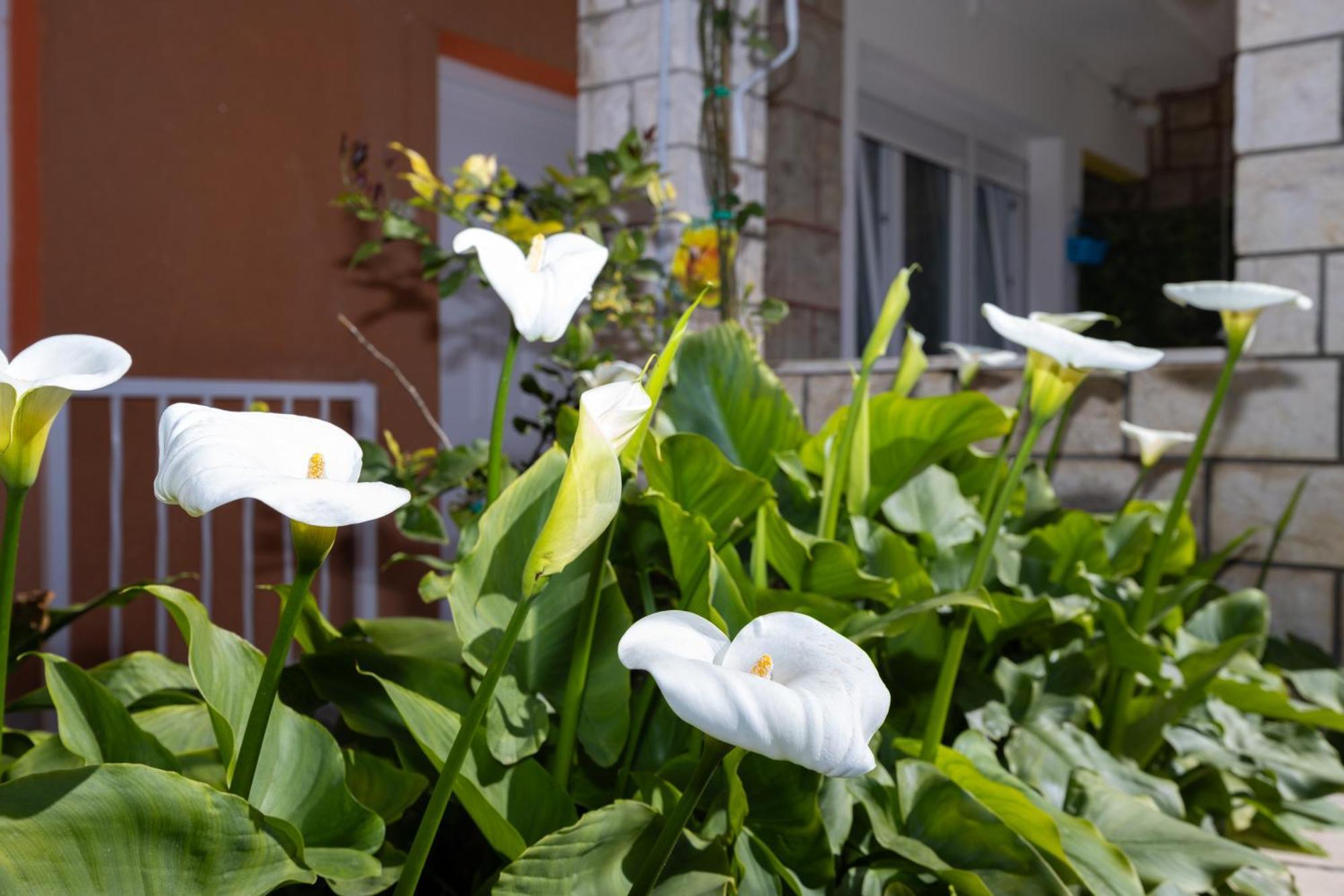 Apartments Marija Split Extérieur photo